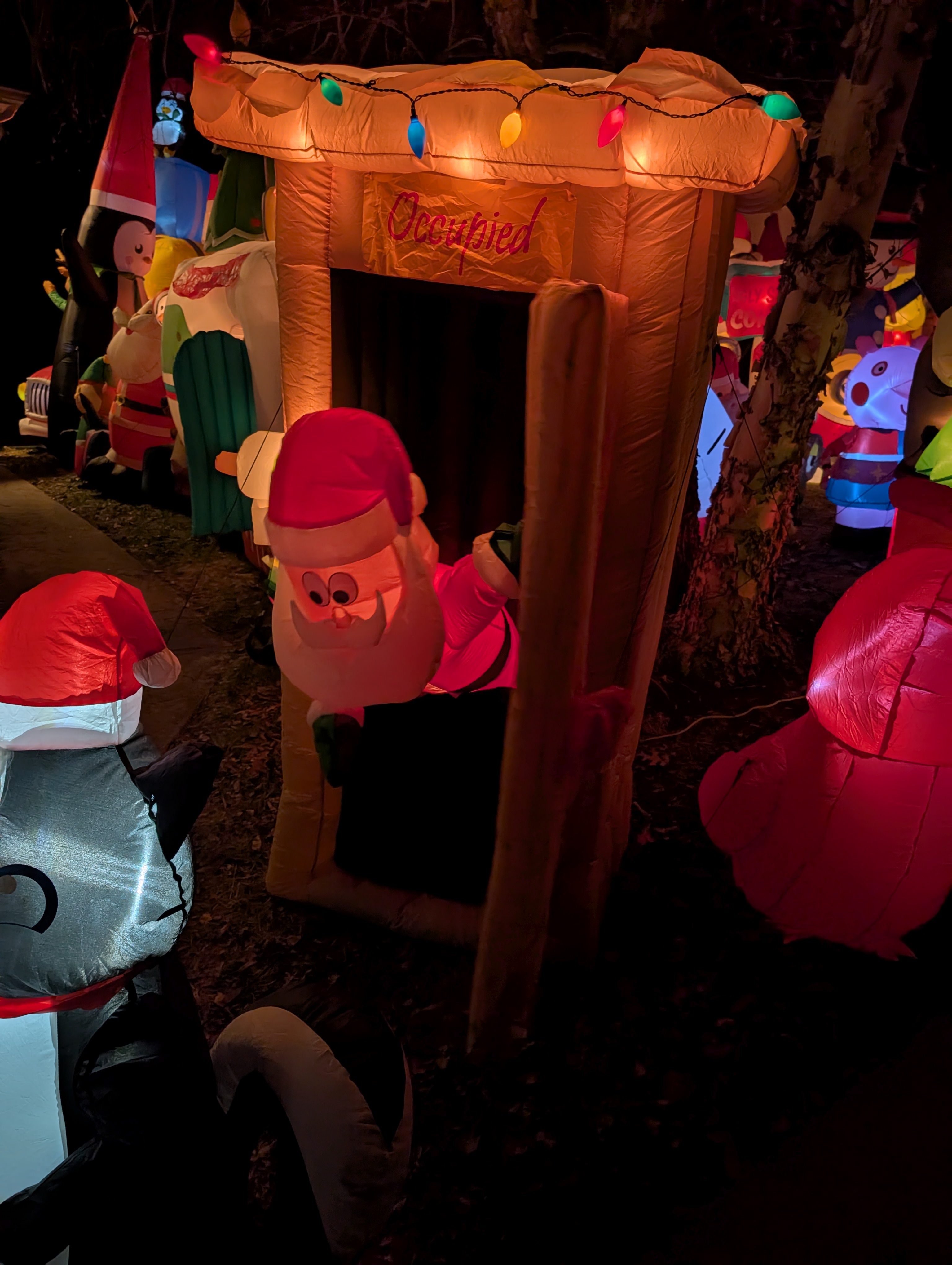 PXL 20241224 013755038 (1)